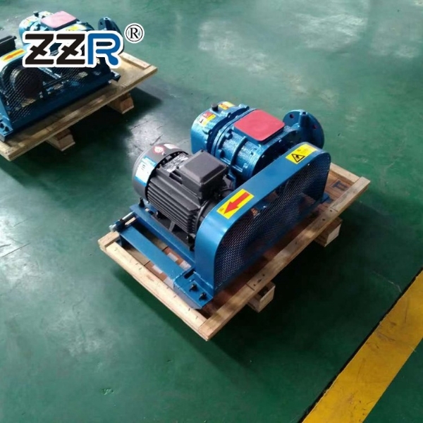 ZZR-50V60V型真空泵